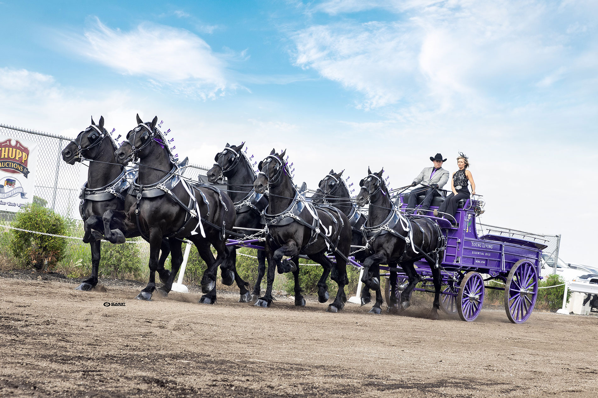 Young Living’s Fall Festival and Draft Horse Show