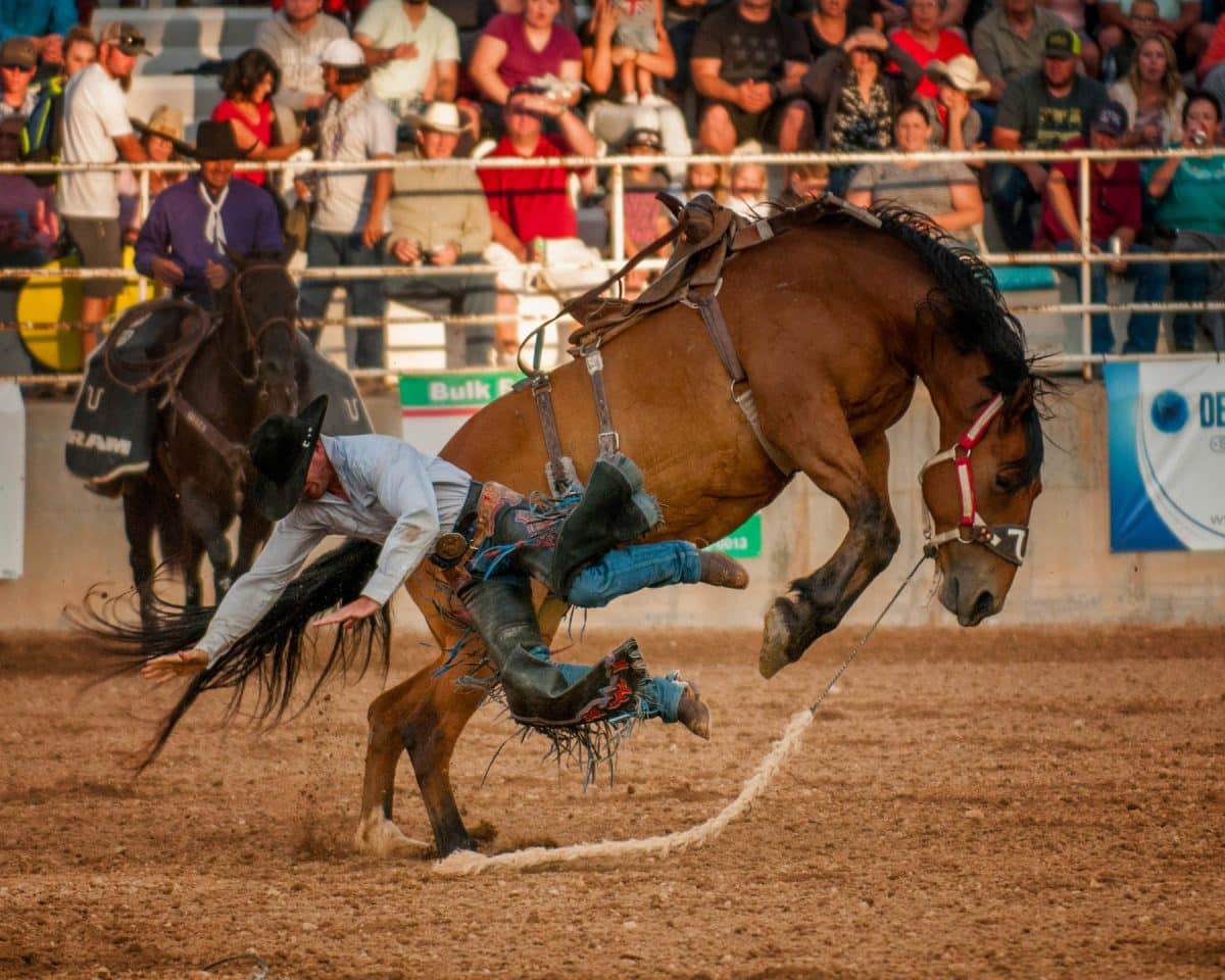 Ute Stampede Rodeo 